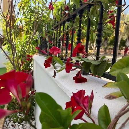 House With A Tropical Garden * Costa Adeje (Tenerife)